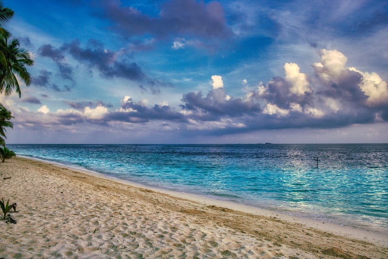 Sunny Beach